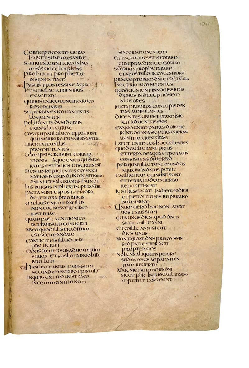 Codex Amiatinus, 3 John 1 (canvas 2019) by Master of the Codex Amiatinus (Monkwearmouth-Jarrow scriptorium) depicting 3 John 1