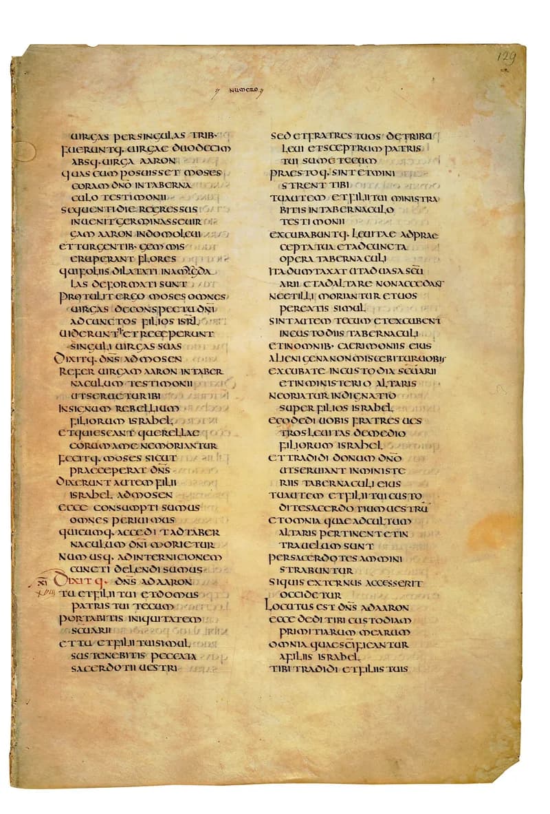 Codex Amiatinus, Deuteronomy 10 (canvas 255) by Master of the Codex Amiatinus (Monkwearmouth-Jarrow scriptorium) depicting Deuteronomy 10