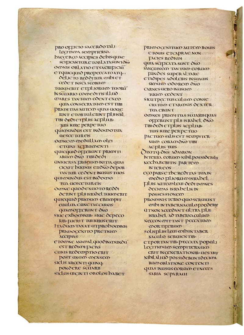 Codex Amiatinus, Deuteronomy 11 (canvas 256) by Master of the Codex Amiatinus (Monkwearmouth-Jarrow scriptorium) depicting Deuteronomy 11