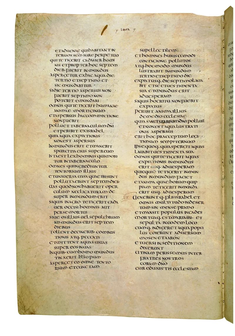 Codex Amiatinus, Deuteronomy 12 (canvas 258) by Master of the Codex Amiatinus (Monkwearmouth-Jarrow scriptorium) depicting Deuteronomy 12
