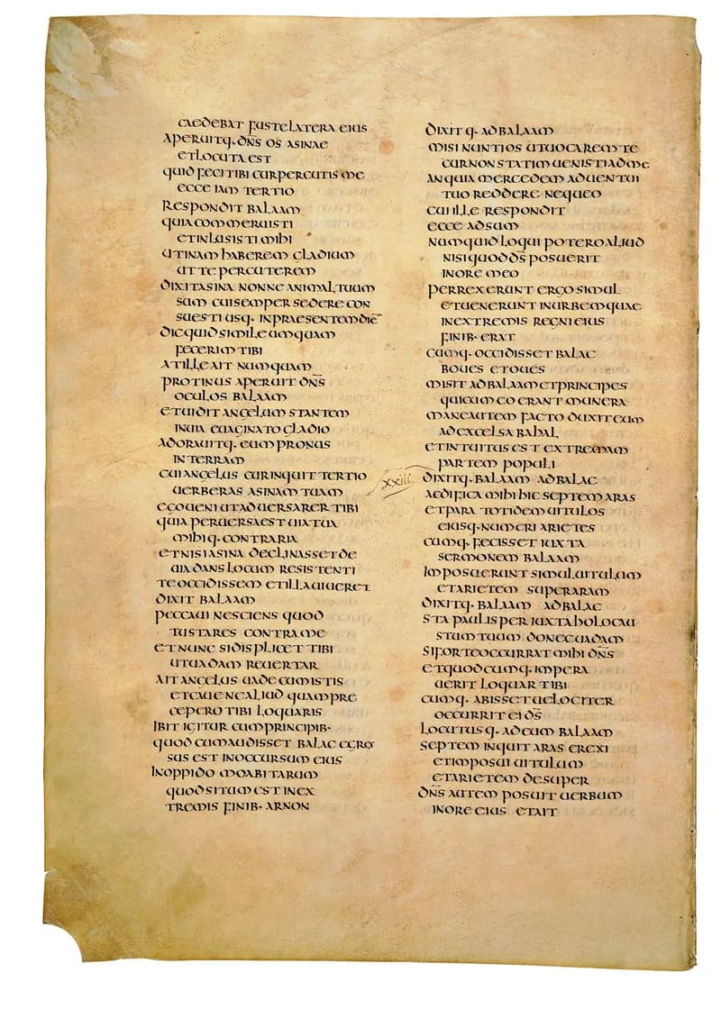 Codex Amiatinus, Deuteronomy 16 (canvas 264) by Master of the Codex Amiatinus (Monkwearmouth-Jarrow scriptorium) depicting Deuteronomy 16