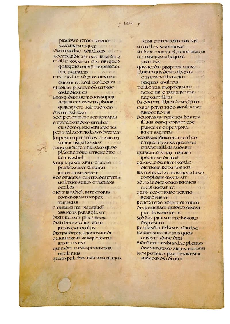 Codex Amiatinus, Deuteronomy 17 (canvas 266) by Master of the Codex Amiatinus (Monkwearmouth-Jarrow scriptorium) depicting Deuteronomy 17