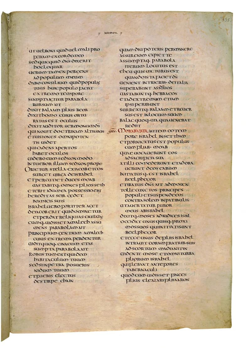 Codex Amiatinus, Deuteronomy 18 (canvas 267) by Master of the Codex Amiatinus (Monkwearmouth-Jarrow scriptorium) depicting Deuteronomy 18