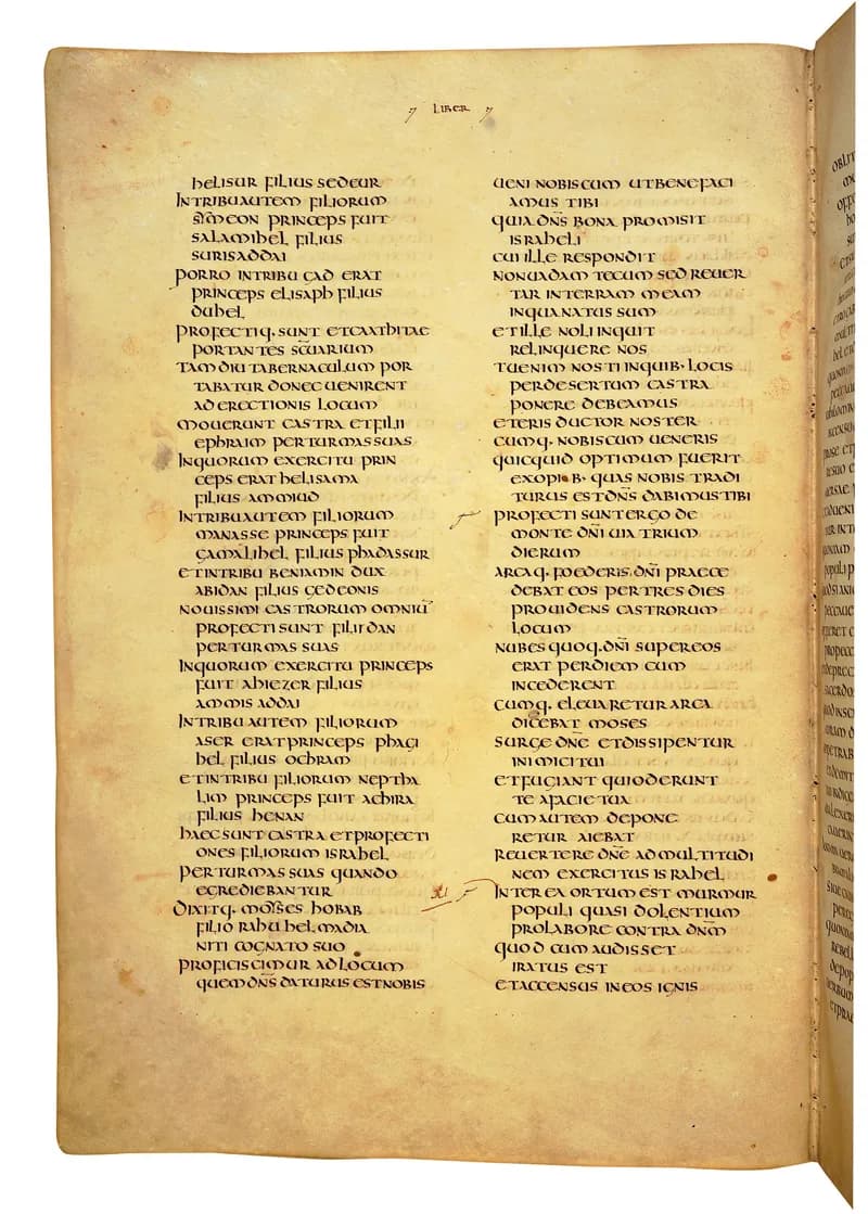 Codex Amiatinus, Deuteronomy 2 (canvas 242) by Master of the Codex Amiatinus (Monkwearmouth-Jarrow scriptorium) depicting Deuteronomy 2