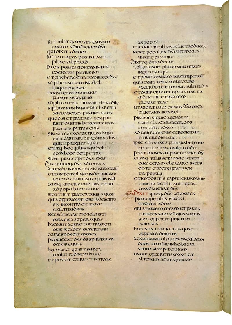 Codex Amiatinus, Deuteronomy 21 (canvas 272) by Master of the Codex Amiatinus (Monkwearmouth-Jarrow scriptorium) depicting Deuteronomy 21