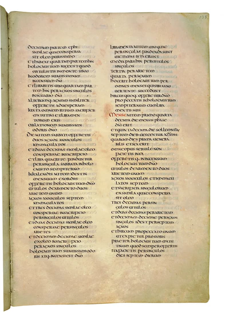 Codex Amiatinus, Deuteronomy 22 (canvas 273) by Master of the Codex Amiatinus (Monkwearmouth-Jarrow scriptorium) depicting Deuteronomy 22