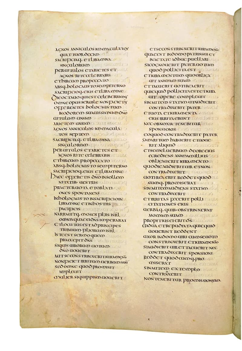 Codex Amiatinus, Deuteronomy 24 (canvas 276) by Master of the Codex Amiatinus (Monkwearmouth-Jarrow scriptorium) depicting Deuteronomy 24