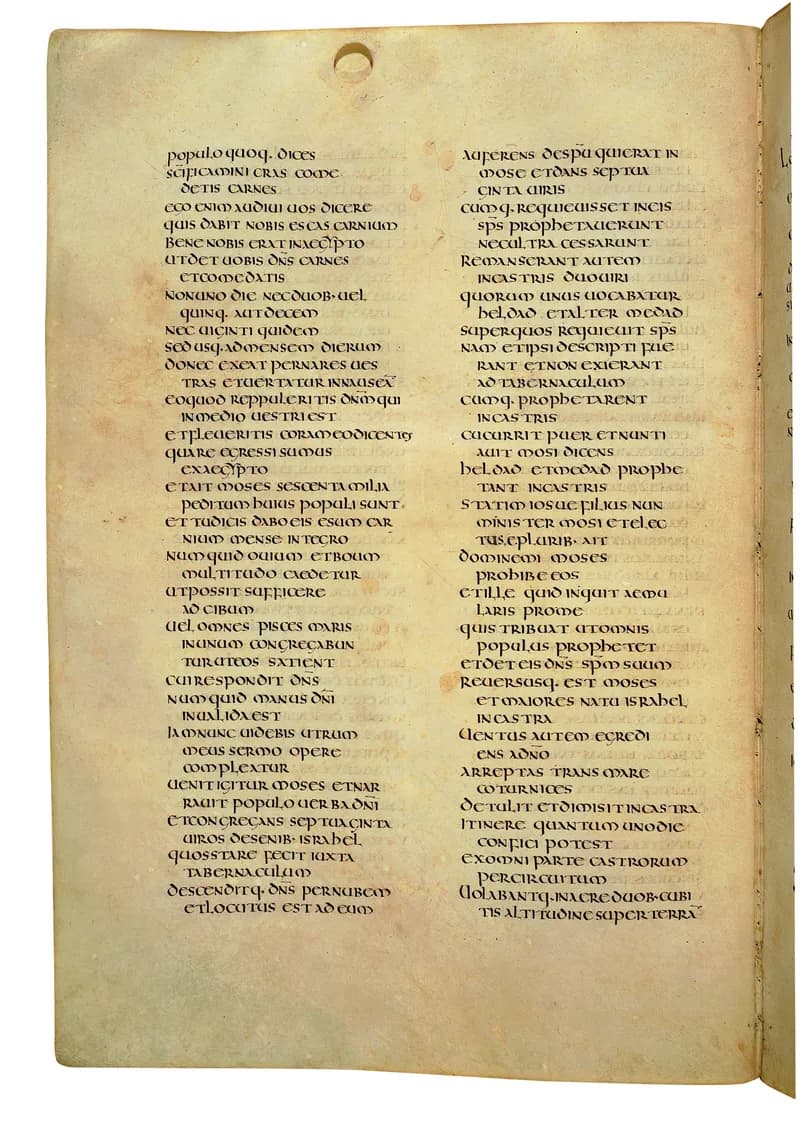 Codex Amiatinus, Deuteronomy 3 (canvas 244) by Master of the Codex Amiatinus (Monkwearmouth-Jarrow scriptorium) depicting Deuteronomy 3