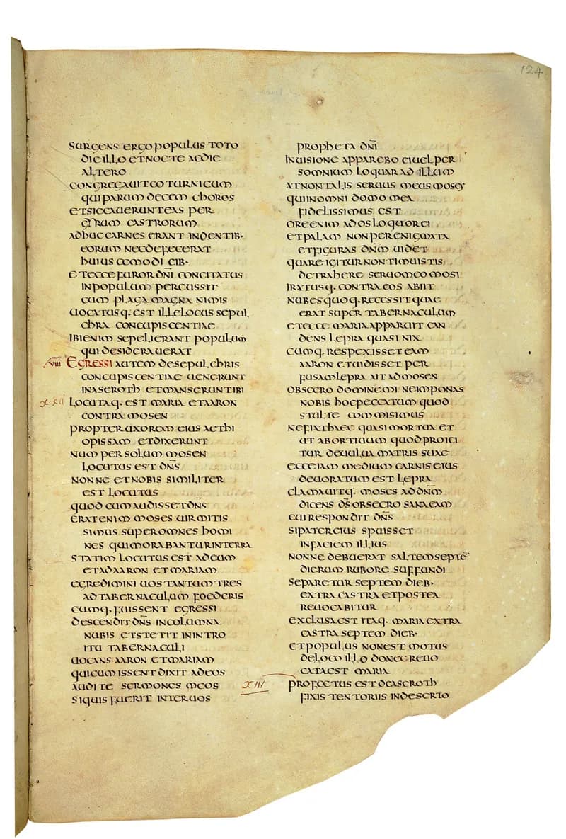 Codex Amiatinus, Deuteronomy 4 (canvas 245) by Master of the Codex Amiatinus (Monkwearmouth-Jarrow scriptorium) depicting Deuteronomy 4