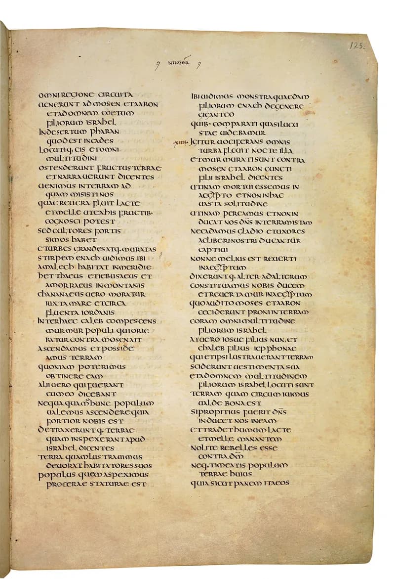 Codex Amiatinus, Deuteronomy 5 (canvas 247) by Master of the Codex Amiatinus (Monkwearmouth-Jarrow scriptorium) depicting Deuteronomy 5