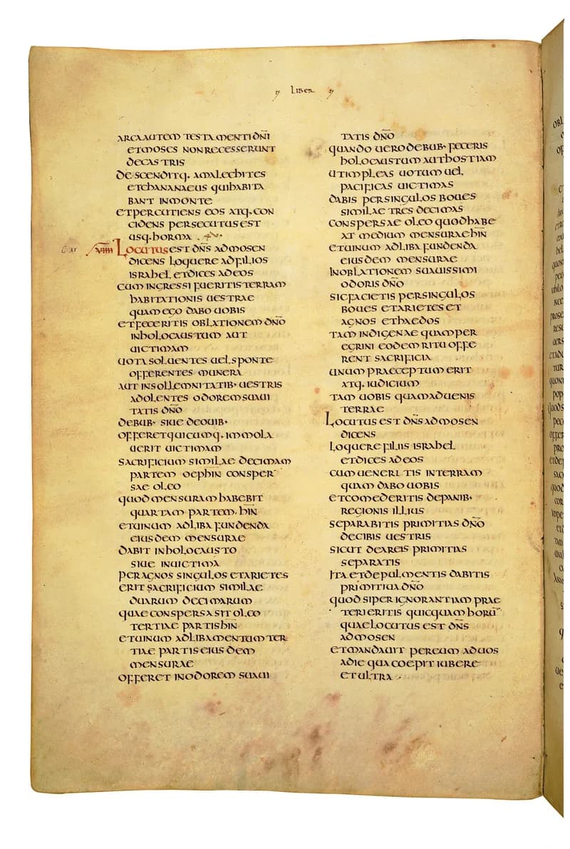 Codex Amiatinus, Deuteronomy 7 (canvas 250) by Master of the Codex Amiatinus (Monkwearmouth-Jarrow scriptorium) depicting Deuteronomy 7