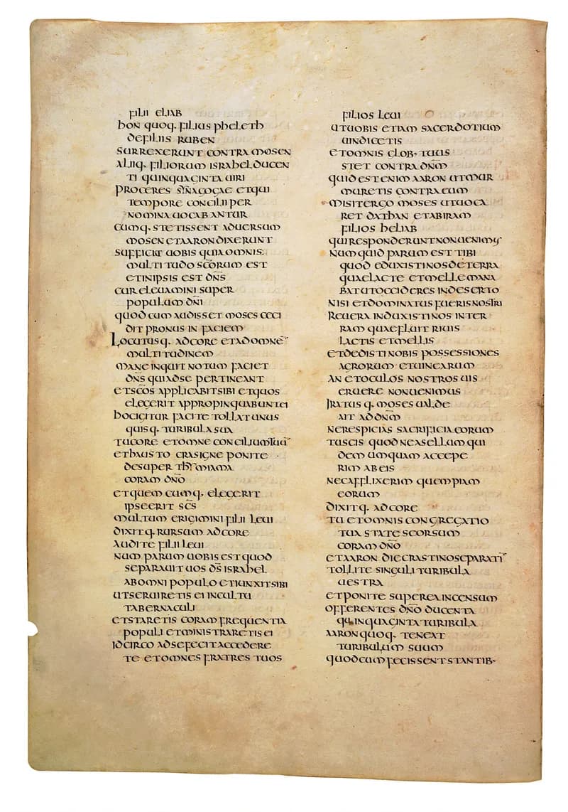 Codex Amiatinus, Deuteronomy 8 (canvas 252) by Master of the Codex Amiatinus (Monkwearmouth-Jarrow scriptorium) depicting Deuteronomy 8