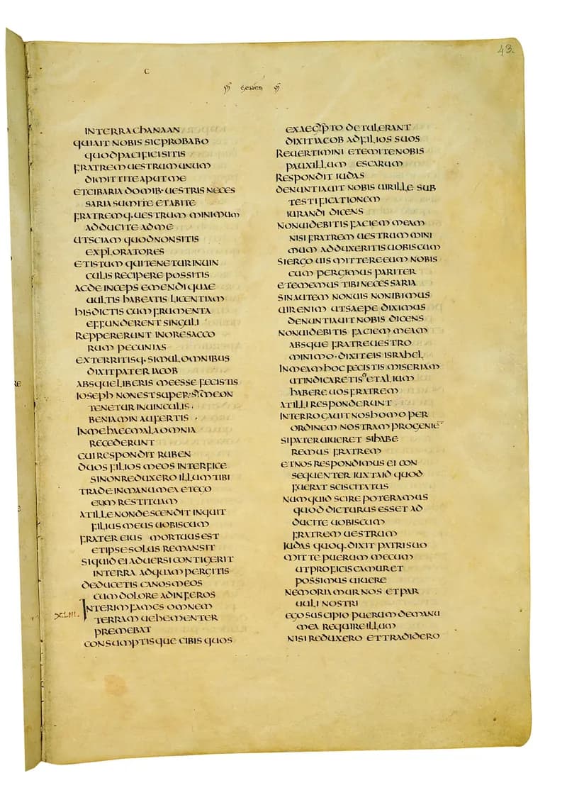 Codex Amiatinus, Exodus 2 (canvas 83) by Master of the Codex Amiatinus (Monkwearmouth-Jarrow scriptorium) depicting Exodus 2