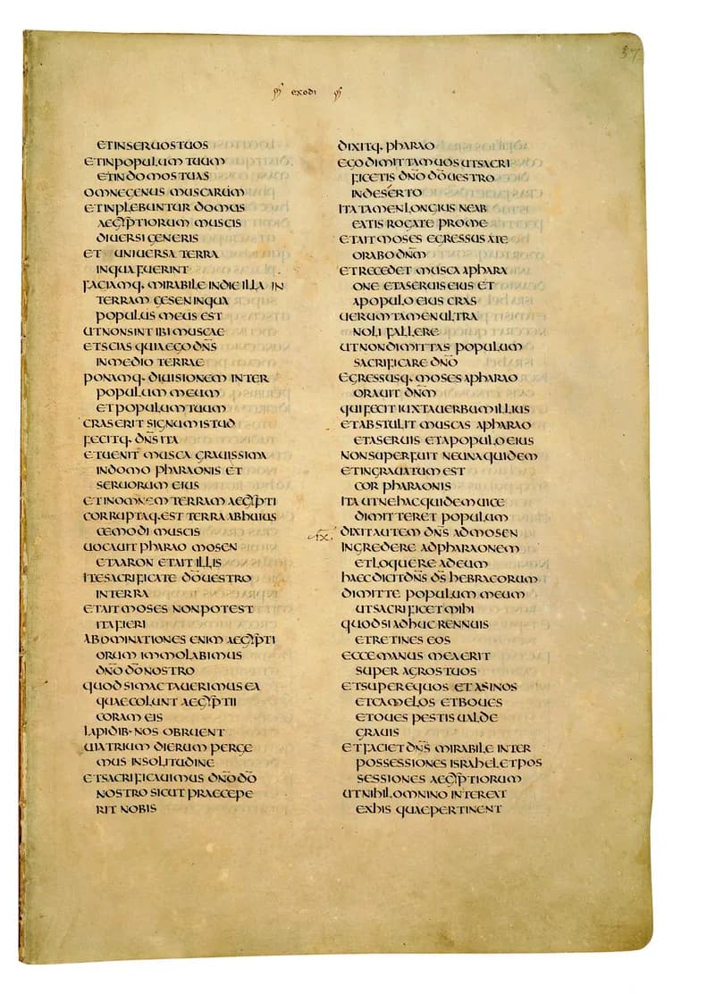 Codex Amiatinus, Exodus 20 (canvas 111) by Master of the Codex Amiatinus (Monkwearmouth-Jarrow scriptorium) depicting Exodus 20