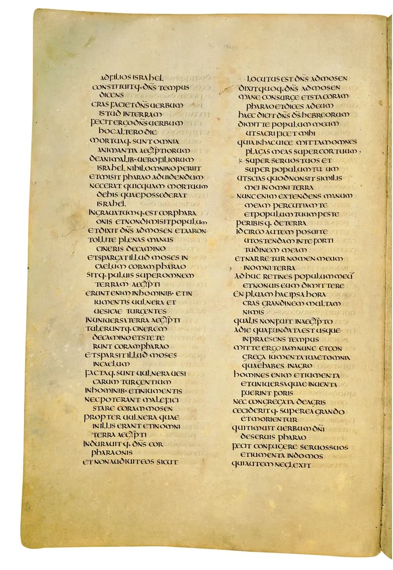 Codex Amiatinus, Exodus 21 (canvas 112) by Master of the Codex Amiatinus (Monkwearmouth-Jarrow scriptorium) depicting Exodus 21