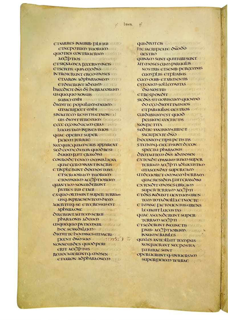 Codex Amiatinus, Exodus 22 (canvas 114) by Master of the Codex Amiatinus (Monkwearmouth-Jarrow scriptorium) depicting Exodus 22