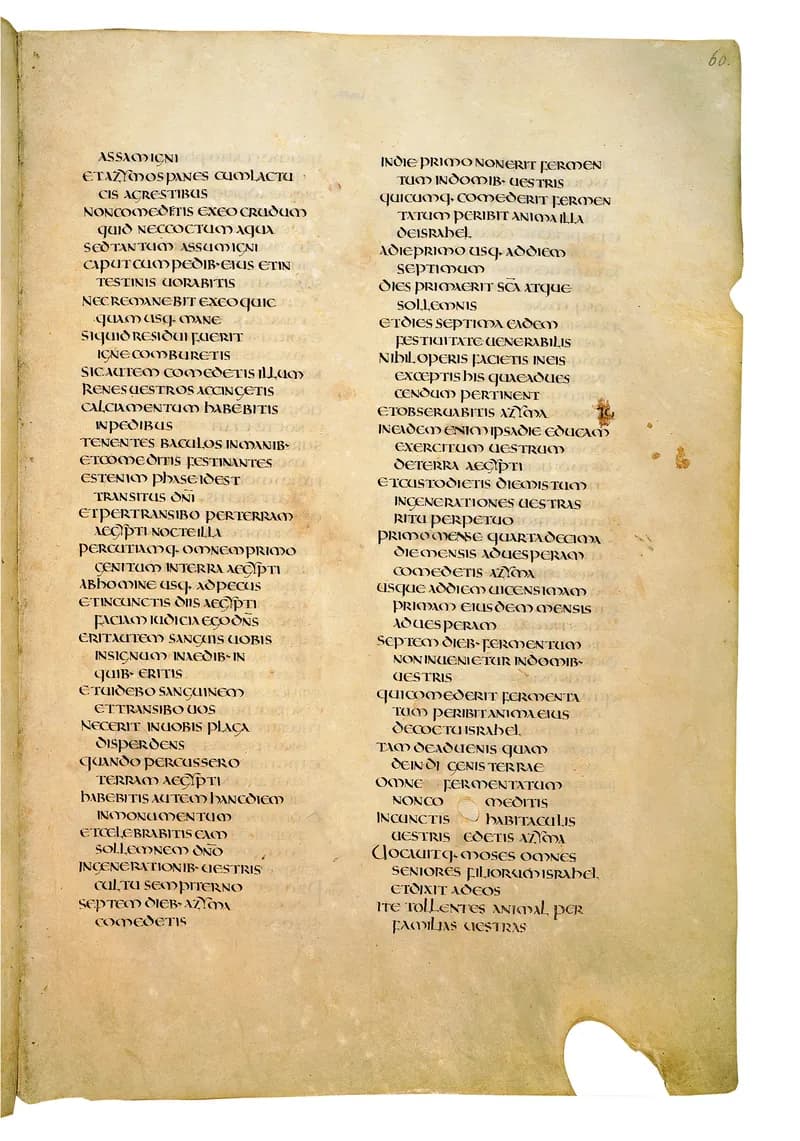 Codex Amiatinus, Exodus 24 (canvas 117) by Master of the Codex Amiatinus (Monkwearmouth-Jarrow scriptorium) depicting Exodus 24