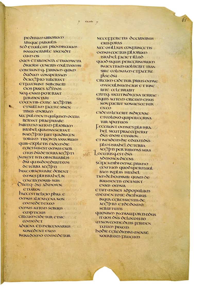 Codex Amiatinus, Exodus 25 (canvas 119) by Master of the Codex Amiatinus (Monkwearmouth-Jarrow scriptorium) depicting Exodus 25