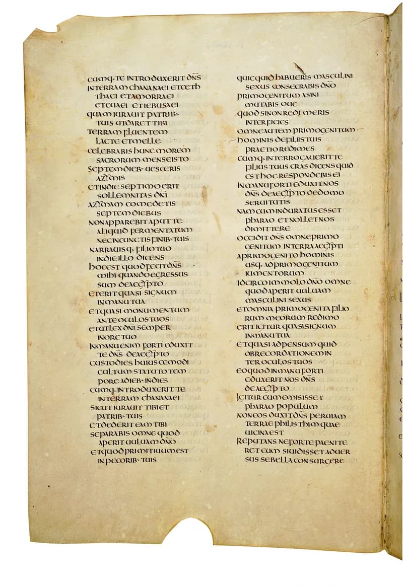 Codex Amiatinus, Exodus 26 (canvas 120) by Master of the Codex Amiatinus (Monkwearmouth-Jarrow scriptorium) depicting Exodus 26