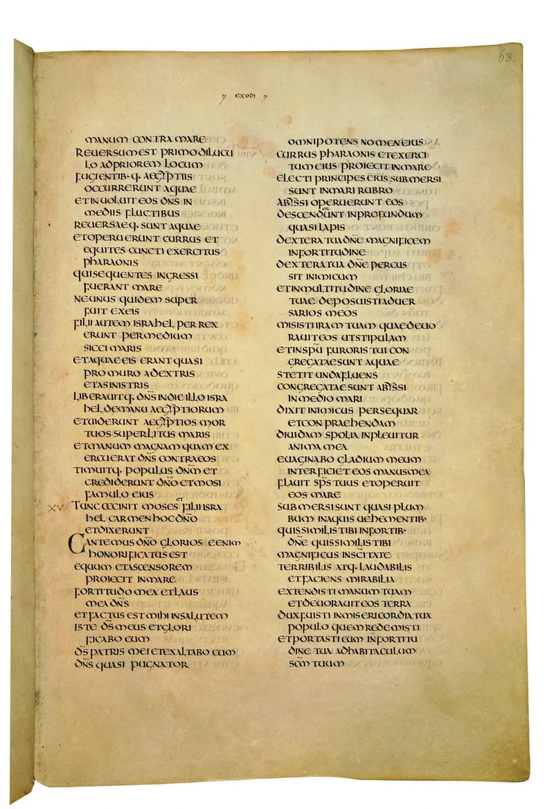 Codex Amiatinus, Exodus 28 (canvas 123) by Master of the Codex Amiatinus (Monkwearmouth-Jarrow scriptorium) depicting Exodus 28