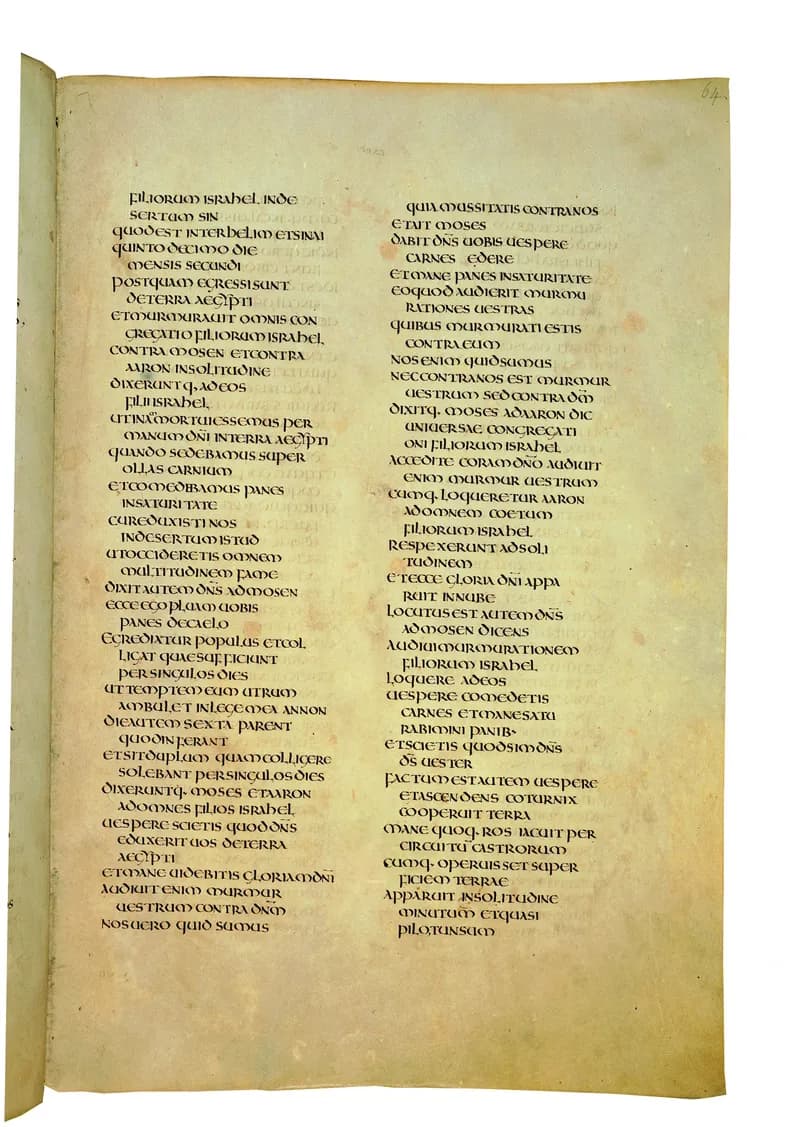 Codex Amiatinus, Exodus 29 (canvas 125) by Master of the Codex Amiatinus (Monkwearmouth-Jarrow scriptorium) depicting Exodus 29