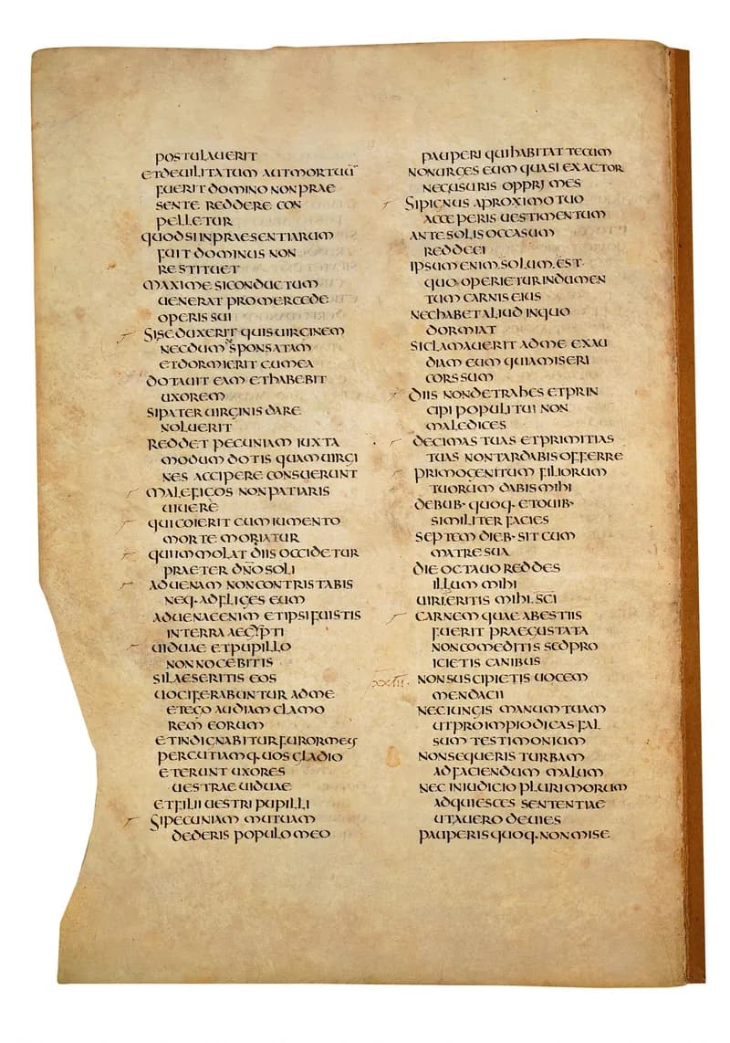 Codex Amiatinus, Exodus 36 (canvas 136) by Master of the Codex Amiatinus (Monkwearmouth-Jarrow scriptorium) depicting Exodus 36