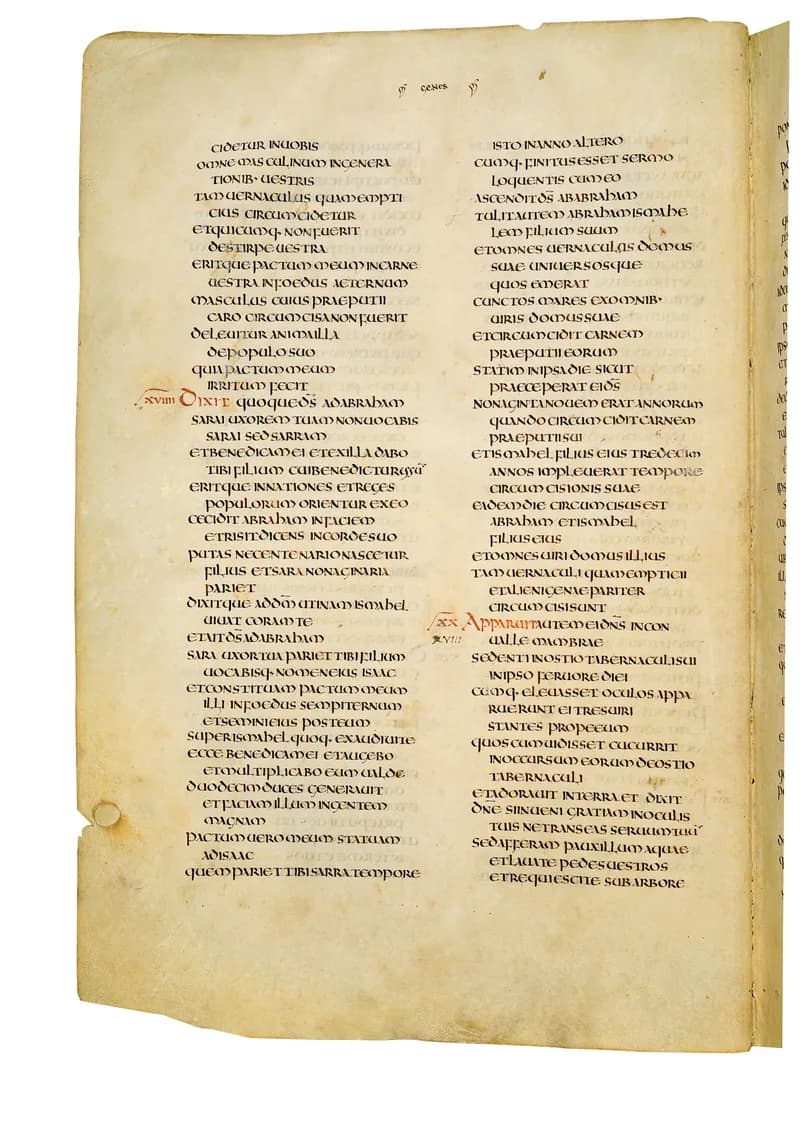 Codex Amiatinus, Genesis 23 (canvas 38) by Master of the Codex Amiatinus (Monkwearmouth-Jarrow scriptorium) depicting Genesis 23