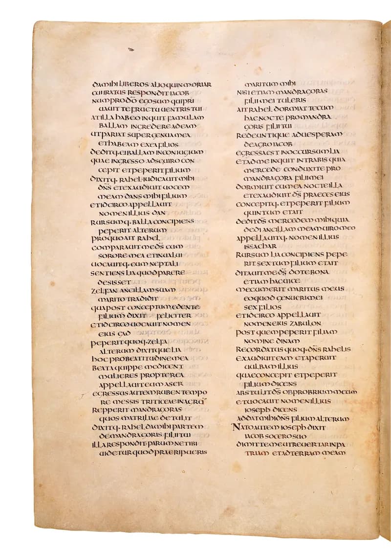 Codex Amiatinus, Genesis 37 (canvas 60) by Master of the Codex Amiatinus (Monkwearmouth-Jarrow scriptorium) depicting Genesis 37