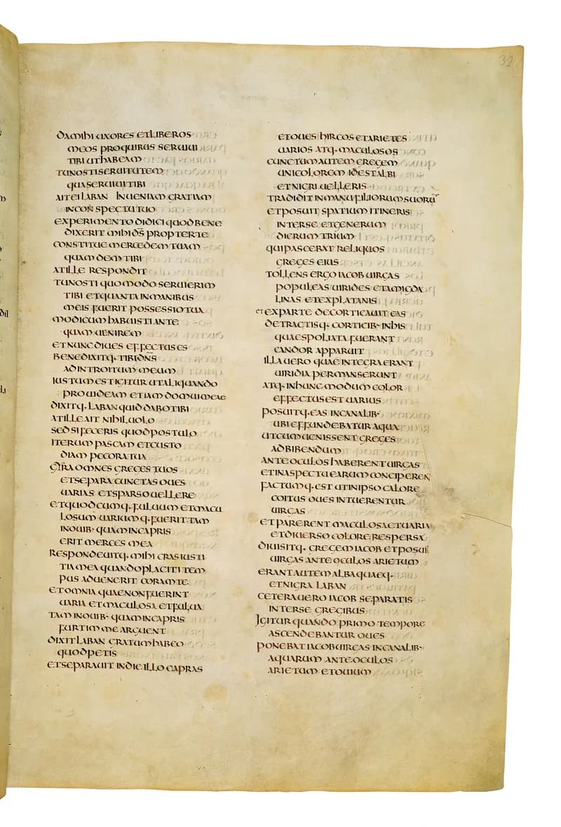 Codex Amiatinus, Genesis 38 (canvas 61) by Master of the Codex Amiatinus (Monkwearmouth-Jarrow scriptorium) depicting Genesis 38