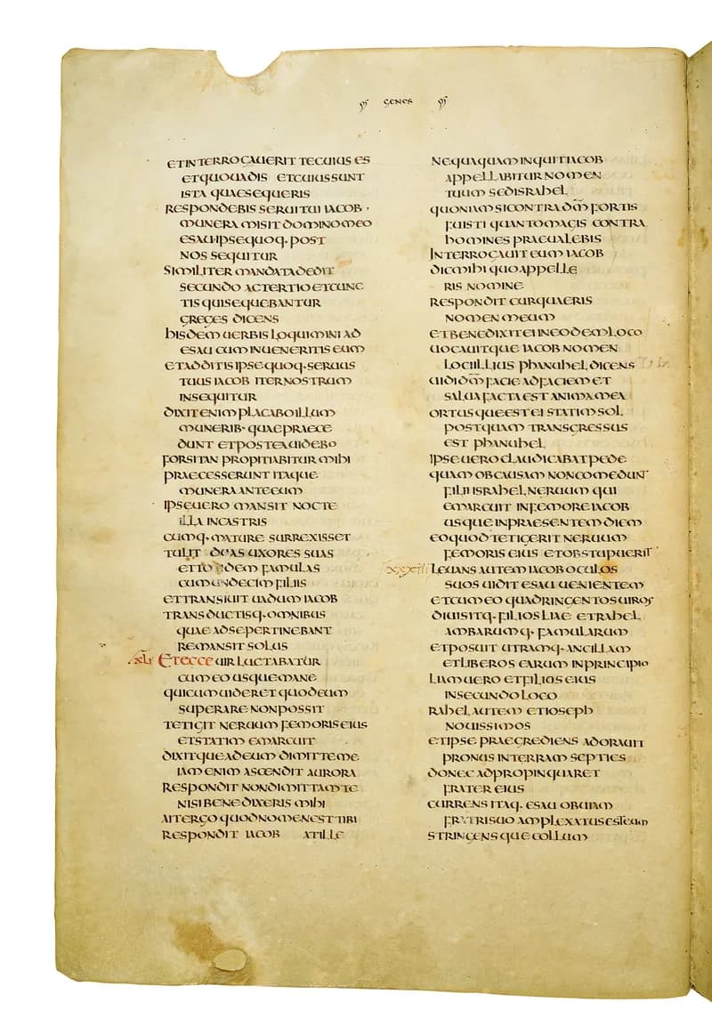 Codex Amiatinus, Genesis 41 (canvas 66) by Master of the Codex Amiatinus (Monkwearmouth-Jarrow scriptorium) depicting Genesis 41