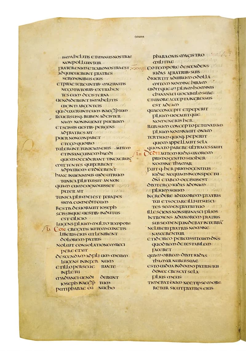 Codex Amiatinus, Genesis 46 (canvas 74) by Master of the Codex Amiatinus (Monkwearmouth-Jarrow scriptorium) depicting Genesis 46