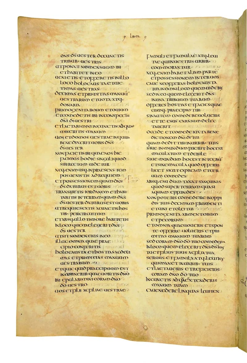 Codex Amiatinus, Joshua 12 (canvas 310) by Master of the Codex Amiatinus (Monkwearmouth-Jarrow scriptorium) depicting Joshua 12