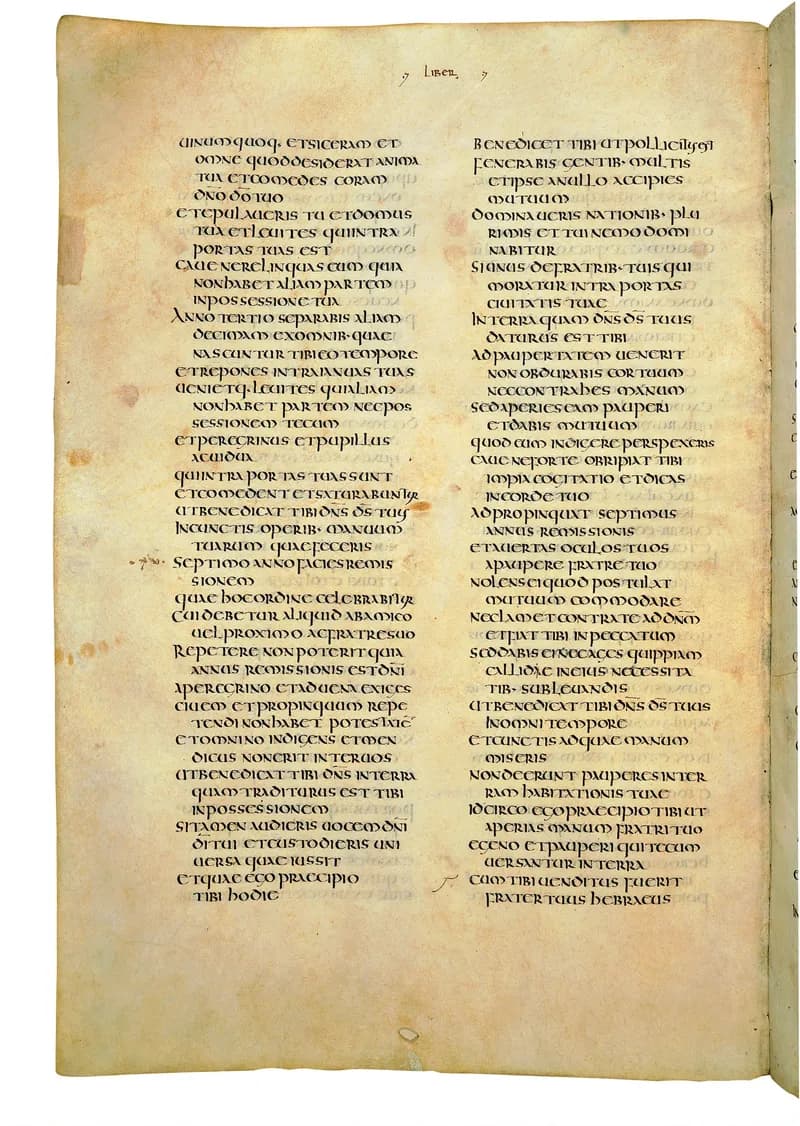 Codex Amiatinus, Joshua 14 (canvas 314) by Master of the Codex Amiatinus (Monkwearmouth-Jarrow scriptorium) depicting Joshua 14