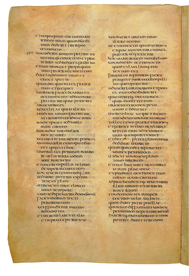 Codex Amiatinus, Joshua 21 (canvas 324) by Master of the Codex Amiatinus (Monkwearmouth-Jarrow scriptorium) depicting Joshua 21