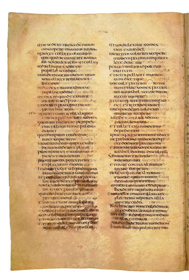 Codex Amiatinus, Joshua 23 (canvas 328) by Master of the Codex Amiatinus (Monkwearmouth-Jarrow scriptorium) depicting Joshua 23