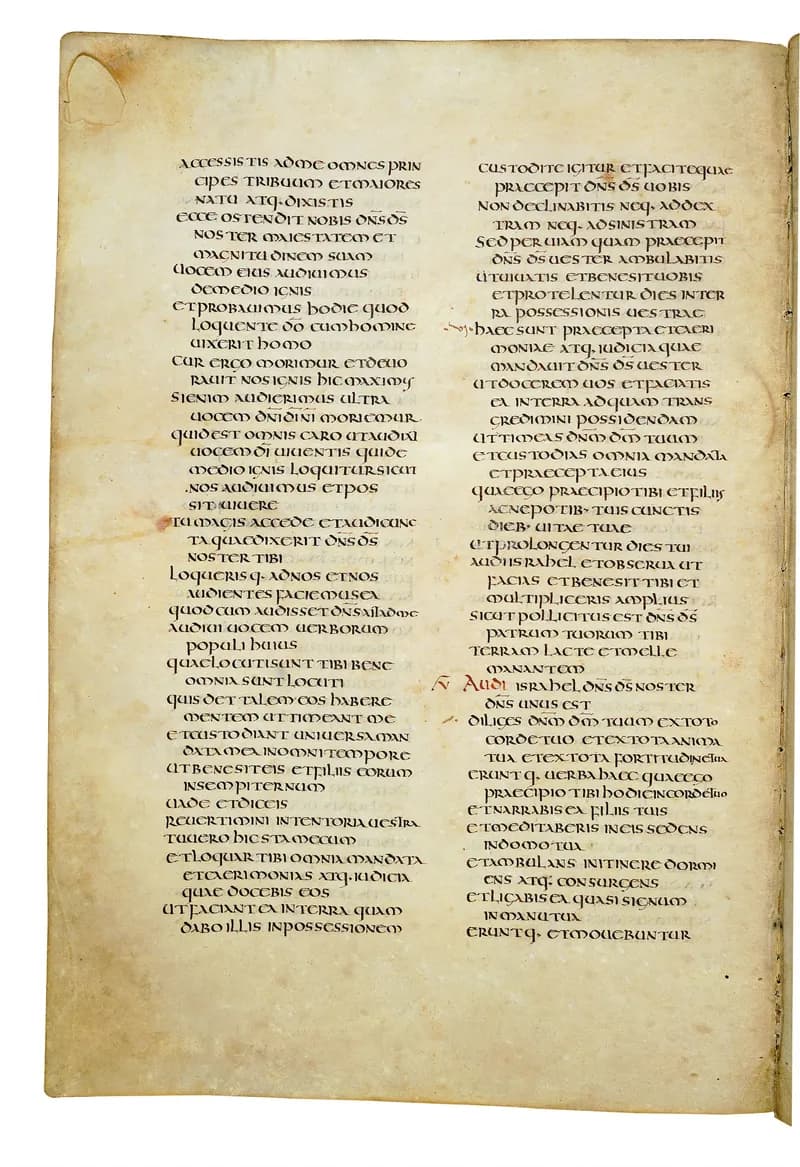 Codex Amiatinus, Joshua 5 (canvas 300) by Master of the Codex Amiatinus (Monkwearmouth-Jarrow scriptorium) depicting Joshua 5
