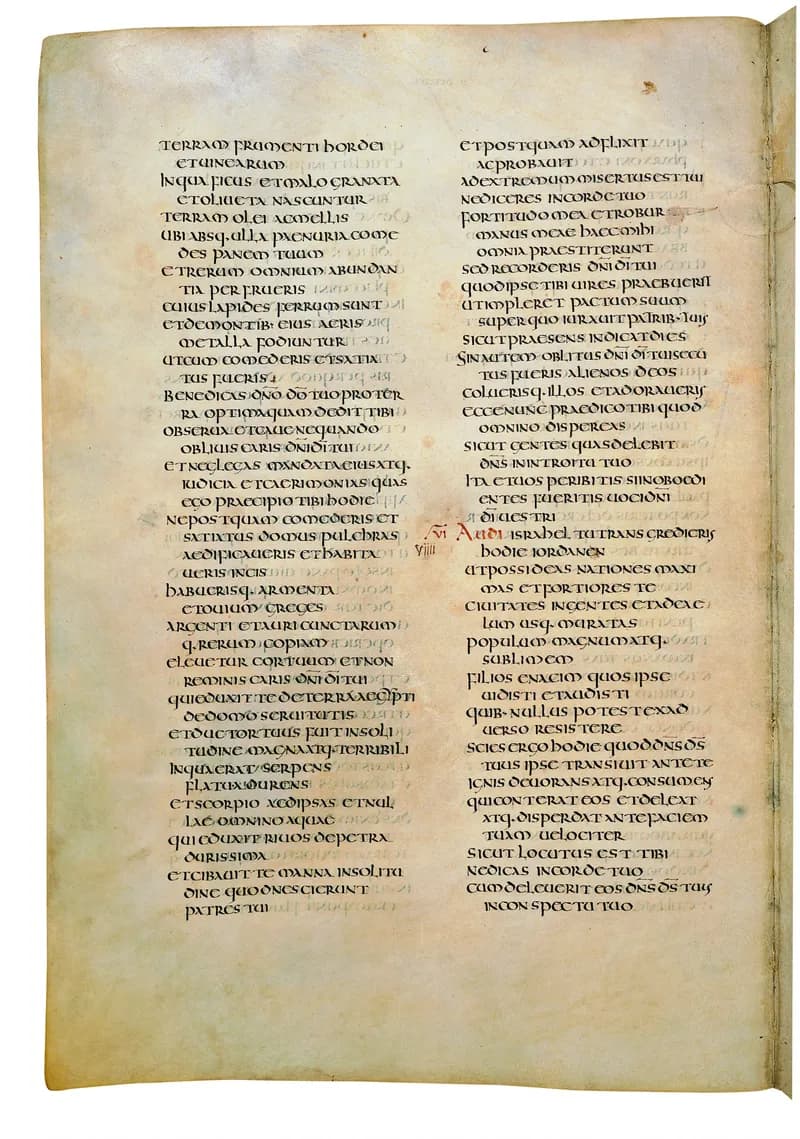 Codex Amiatinus, Joshua 8 (canvas 304) by Master of the Codex Amiatinus (Monkwearmouth-Jarrow scriptorium) depicting Joshua 8
