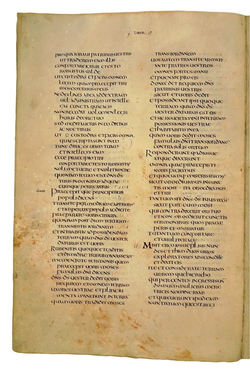 Codex Amiatinus, Judges 12 (canvas 348) by Master of the Codex Amiatinus (Monkwearmouth-Jarrow scriptorium) depicting Judges 12