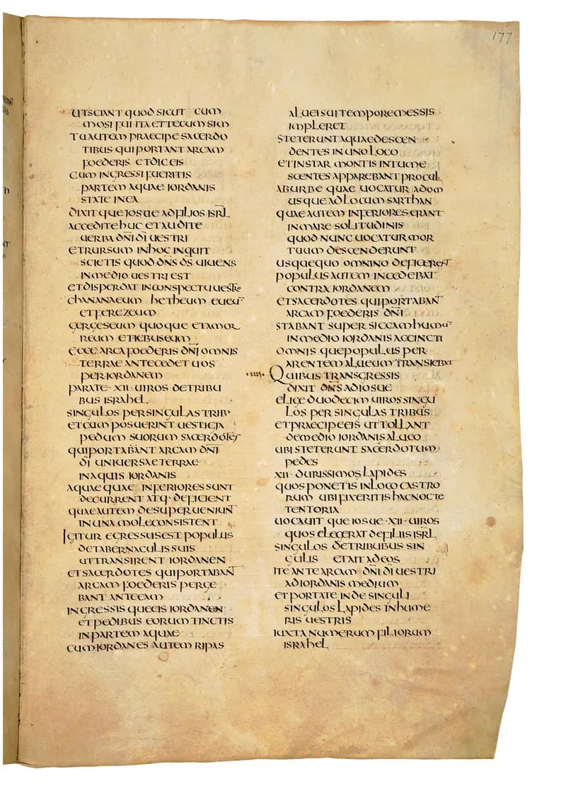 Codex Amiatinus, Judges 14 (canvas 351) by Master of the Codex Amiatinus (Monkwearmouth-Jarrow scriptorium) depicting Judges 14