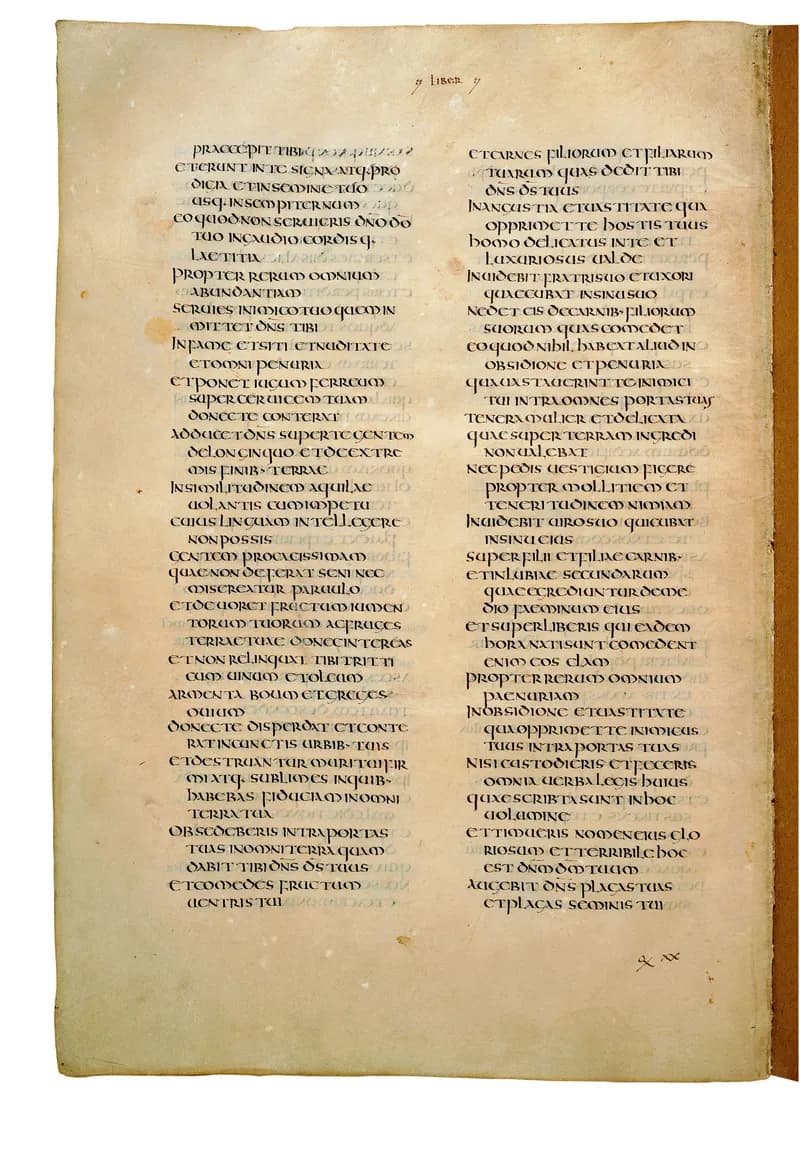 Codex Amiatinus, Judges 3 (canvas 334) by Master of the Codex Amiatinus (Monkwearmouth-Jarrow scriptorium) depicting Judges 3