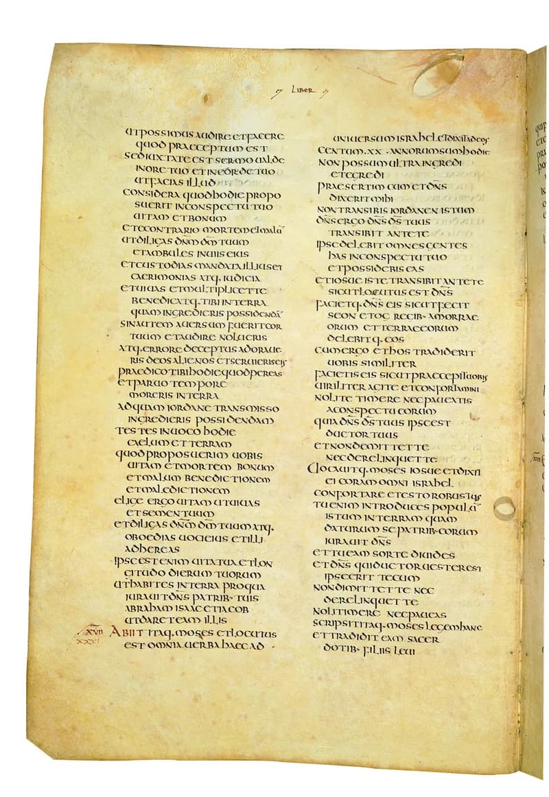 Codex Amiatinus, Judges 6 (canvas 338) by Master of the Codex Amiatinus (Monkwearmouth-Jarrow scriptorium) depicting Judges 6