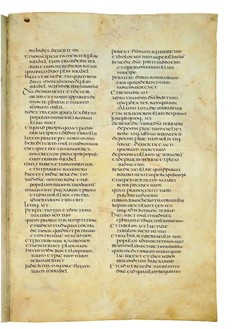 Codex Amiatinus, Judges 9 (canvas 343) by Master of the Codex Amiatinus (Monkwearmouth-Jarrow scriptorium) depicting Judges 9