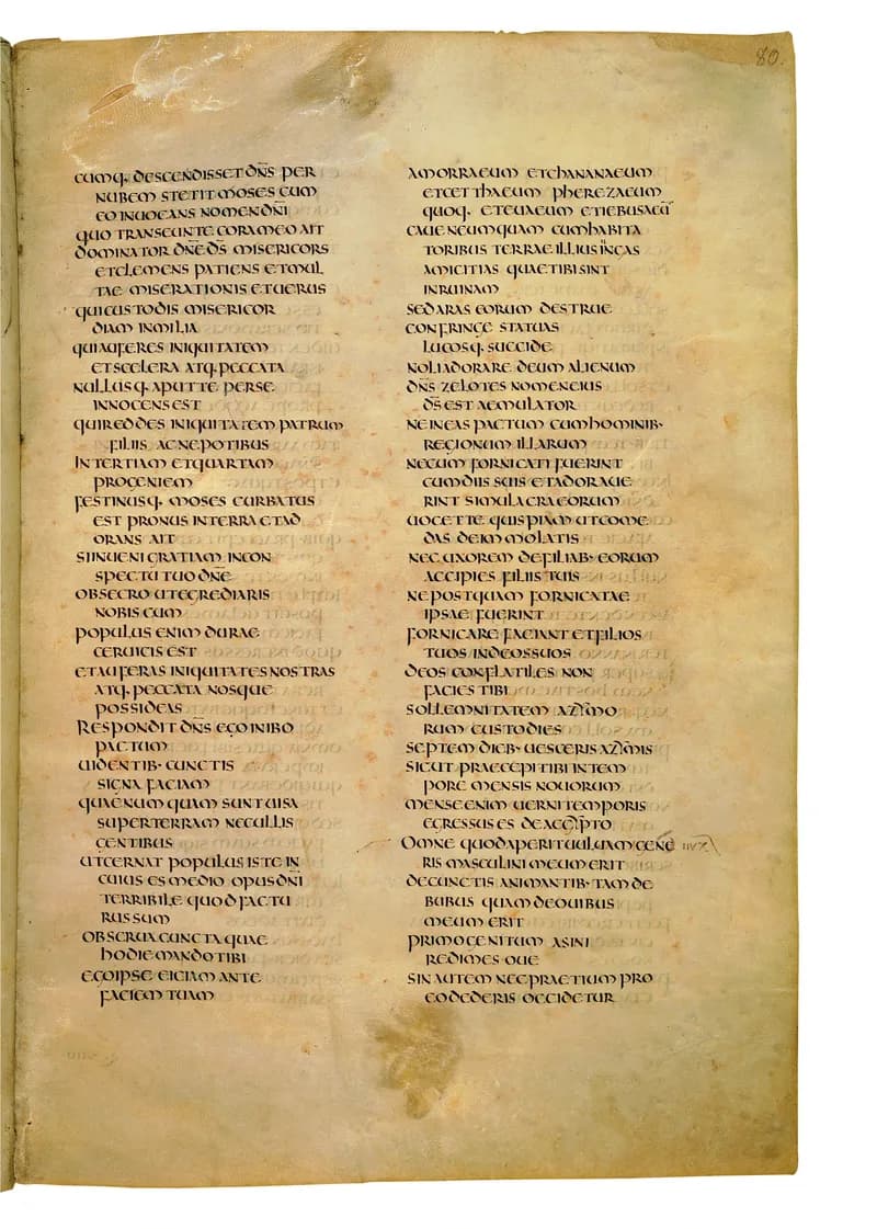 Codex Amiatinus, Leviticus 10 (canvas 157) by Master of the Codex Amiatinus (Monkwearmouth-Jarrow scriptorium) depicting Leviticus 10