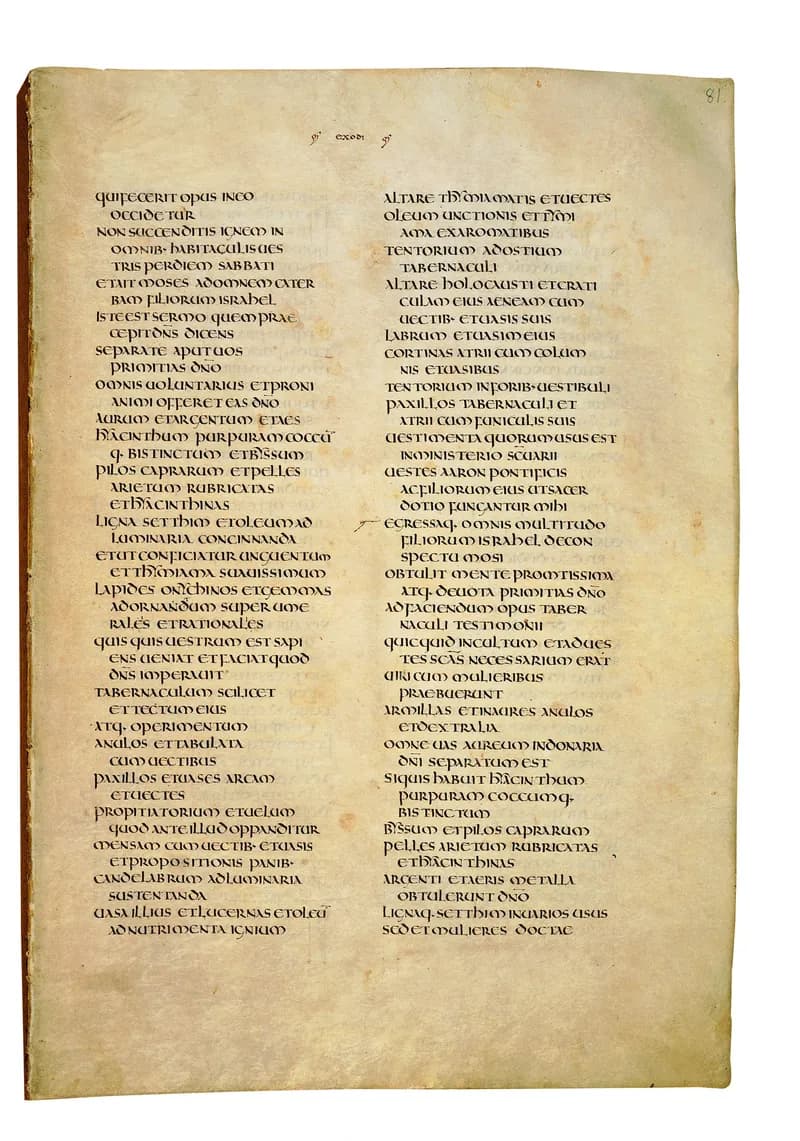 Codex Amiatinus, Leviticus 11 (canvas 159) by Master of the Codex Amiatinus (Monkwearmouth-Jarrow scriptorium) depicting Leviticus 11