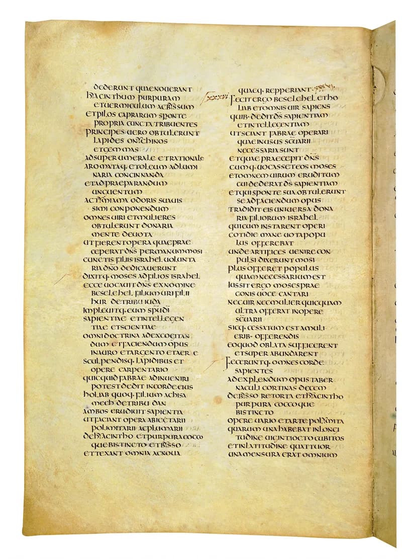 Codex Amiatinus, Leviticus 12 (canvas 160) by Master of the Codex Amiatinus (Monkwearmouth-Jarrow scriptorium) depicting Leviticus 12