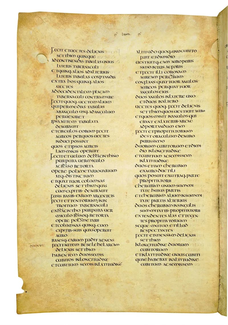 Codex Amiatinus, Leviticus 13 (canvas 162) by Master of the Codex Amiatinus (Monkwearmouth-Jarrow scriptorium) depicting Leviticus 13