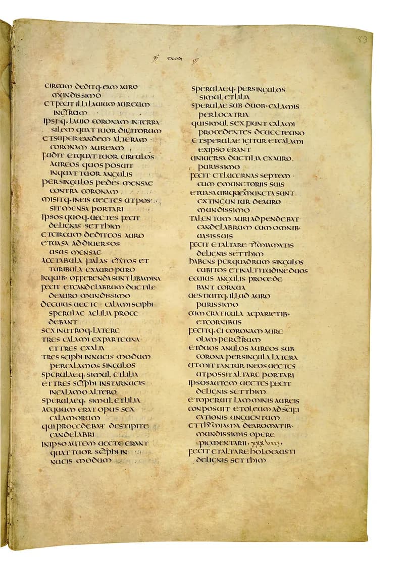 Codex Amiatinus, Leviticus 14 (canvas 163) by Master of the Codex Amiatinus (Monkwearmouth-Jarrow scriptorium) depicting Leviticus 14