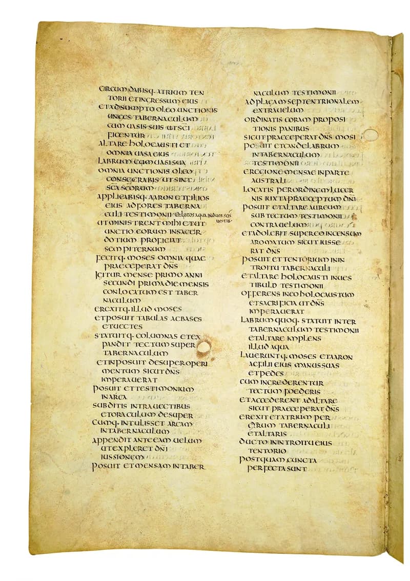 Codex Amiatinus, Leviticus 17 (canvas 168) by Master of the Codex Amiatinus (Monkwearmouth-Jarrow scriptorium) depicting Leviticus 17