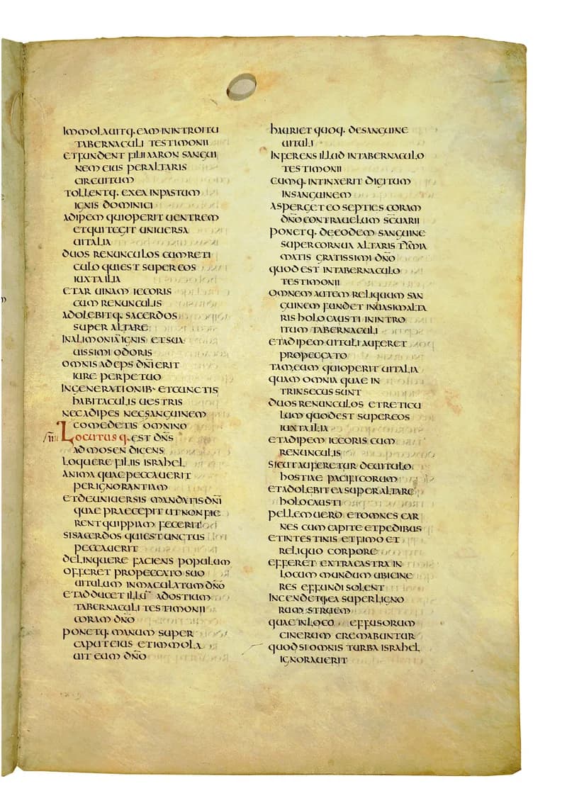Codex Amiatinus, Leviticus 20 (canvas 173) by Master of the Codex Amiatinus (Monkwearmouth-Jarrow scriptorium) depicting Leviticus 20