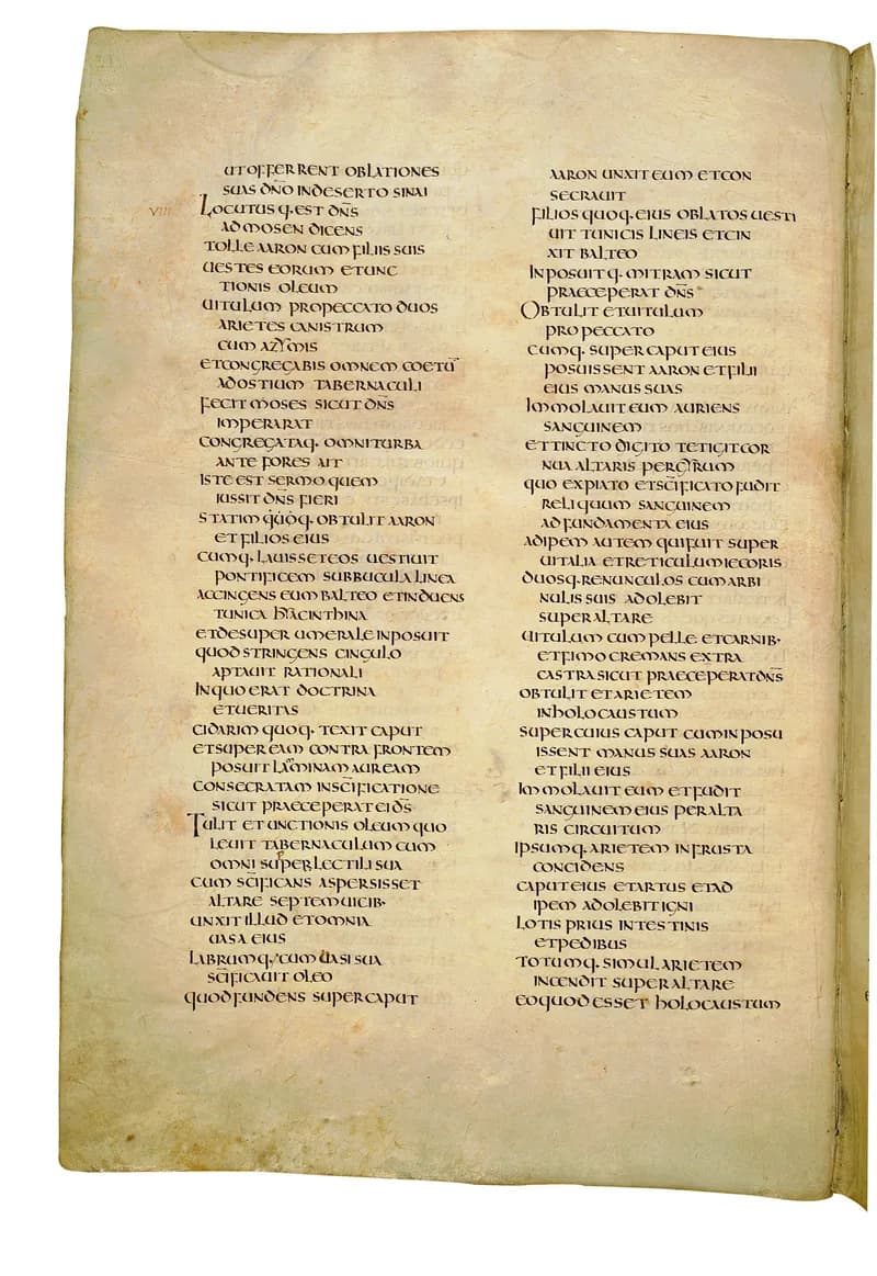 Codex Amiatinus, Leviticus 25 (canvas 180) by Master of the Codex Amiatinus (Monkwearmouth-Jarrow scriptorium) depicting Leviticus 25